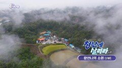 [청산에 살리라] 왕언니의 소원 | KBS 251106 방송 