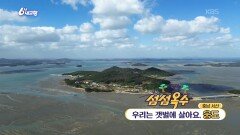 [섬섬옥수] 우리는 갯벌에 살아요, 웅도 | KBS 251107 방송 
