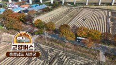 [달려라 고향버스] 충남 서천 | KBS 251111 방송 