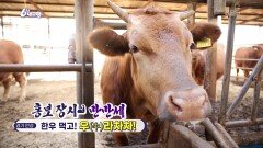[홍보 장사 만만세] 한우 먹고! 우(牛)라차차! | KBS 251111 방송 