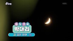 [효도기획 박대리] 감 잡은 인연 [2부] | KBS 251114 방송 