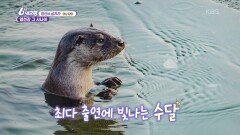 ［청산에 살리라］엄천강 그 사나이 - 경남 함양 | KBS 251127 방송 