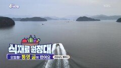 [식재료 원정대] 오동통! 통영 굴이 왔어요! | KBS 251201 방송 