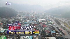 [붕붕이가 간다!] 우산이 되어드린 붕붕이 | KBS 251201 방송 