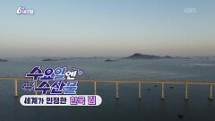 [수요일엔 수산물] 세계가 인정한 한국 김 | KBS 251203 방송 
