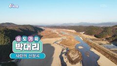 [효도기획 박대리] 사랑의 신청곡 | KBS 251212 방송 