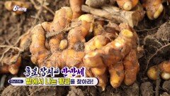 [홍보 장사 만만세] 밭에서 나는 황금을 찾아라! | KBS 251216 방송 