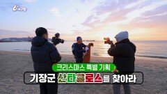[고향을 부탁해 오!만보기] 부산광역시 기장군 [첫째 날] | KBS 251217 방송 