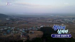 [청산에 살리라] 구수한 인생의 맛 | KBS 260122 방송 