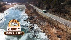 [달려라 고향버스] 경북 봉화 | KBS 260127 방송 