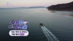 [수요일엔 수산물] 아는 맛이 더 맛있다! 홍합 | KBS 260128 방송 