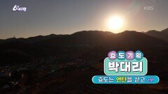 [효도기획 박대리] 효도는 연탄을 싣고 [2부] | KBS 260130 방송