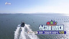 [식재료 원정대] 자연 그대로의 보양식, 낙지 | KBS 260209 방송 