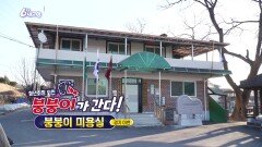 [붕붕이가 간다!] 붕붕이 미용실 | KBS 260209 방송 