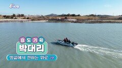 [효도기획 박대리] 땅끝에서 전하는 위로 [2부] | KBS 260213 방송 