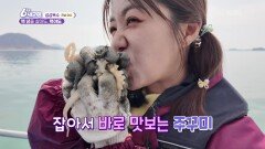 [섬섬옥수] 백 년을 살아도, 백야도 - 전남 여수 | KBS 260227 방송 