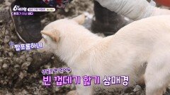 [효도 기획 박대리] 혼자가 아닌 바다 - 충남 태안 | KBS 260306 방송 