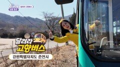 [달려라 고향버스] 강원특별자치도 춘천시 | KBS 260310 방송 