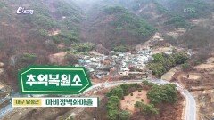 [추억 복원소] 마비정벽화마을 | KBS 260310 방송 