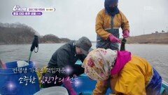 [효도 기획 박대리] 소중한 임진강의 선물 - 경기 파주 | KBS 260313 방송 