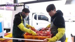 [인생은 행복海] 홍게를 잡기 위해 이른 새벽부터 배에 오르는 아버지의 사랑 - 강원 속초 | KBS 260316 방송 
