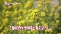 [효도 기획 박대리] 봄날의 휴식 - 경남 밀양 | KBS 260424 방송 