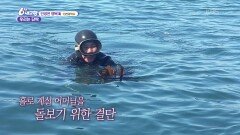 [인생은 행복海] 우리는 단짝 - 인천광역시 | KBS 260427 방송 