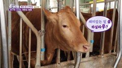 [홍보장사 만만세] 지구를 지키는 저탄소 농업 - 충남 아산 | KBS 260428 방송 