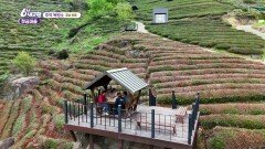 [추억 복원소] 그리움으로 채운 우리 딸의 칠순 잔치 - 경남 하동 | KBS 260428 방송 