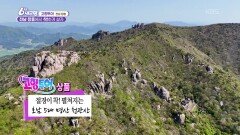 [별 볼 일 있는 여행 고향투어] 전남 장흥에서 착!하게 살자 - 전남 장흥 | KBS 260429 방송 