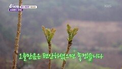 [팔도 배달맨] 슈퍼맨의 탄생 - 강원 춘천 | KBS 260430 방송 