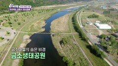 [전국 마을 자랑] 아픔을 딛고 다시 피어난 금소마을 - 경북 안동 | KBS 260508 방송 