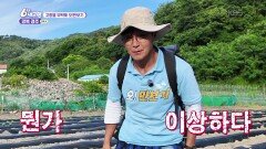 [고향을 부탁해 오!만보기] 시원한 웃음과 응원을 선물하라! - 경북 경주 | KBS 260610 방송 
