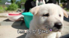 [청산에 살리라] 닭돌이와 달순이 - 경북 경주 | KBS 260611 방송 