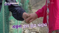 [붕붕이가 간다!] 창녕의 사랑꾼 - 경남 창녕 | KBS 260615 방송 