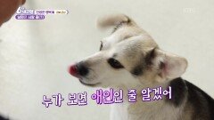 [인생은 행복海] 남편은 사랑 중(?) - 전북 군산 | KBS 260615 방송 