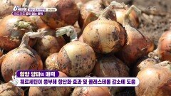 [홍보장사 만만세] 까도 까도 끝이 없는 양파의 매력 - 경남 함양 | KBS 260616 방송 