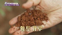 [별 볼 일 있는 여행 고향투어] 가루에 미(美)치다! 대전 가루 로드 - 대전광역시 | KBS 260617 방송 