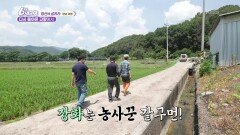 [청산에 살리라] 다시 돌아온 고향에서 - 경남 의령 | KBS 260709 방송