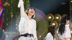 자두 - 잘가 | KBS 260104 방송 