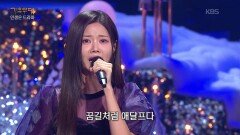 배아현 - 저 강은 알고 있다(이미자) | KBS 251208 방송 