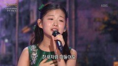 이수연 - 알고 싶어요(이선희) | KBS 260413 방송