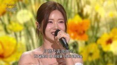 배아현 - 월량대표아적심(외국곡) | KBS 260413 방송 