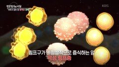 가장 흔한 혈액암, 악성림프종 | KBS 260422 방송 