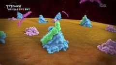 고령 환자의 희망 - 표적치료제 | KBS 260422 방송 