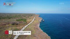 태초의 깨끗한 자연이 살아 있는 숨바섬의 매력 | KBS 220917 방송