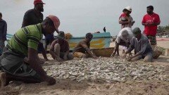 40명의 사람이 해변에서 그물을 당긴다! | KBS 240706 방송