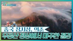 우공산 정상에서 마주한 절경 | KBS 251206 방송 