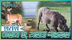 말라위 호수와 함께 숨 쉬는 야생의 땅, 리원데 국립공원 | KBS 260110 방송 