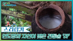 인도양의 자연이 빚은 스리랑카 전통술 ‘라’ | KBS 260124 방송 